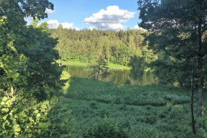 Parduodamas  sklypas Europos parko g., Joneikiškių vs., Vilniaus r. sav., 322.38 a ploto 5