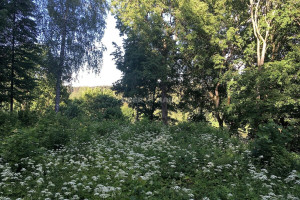 Parduodamas  sklypas Europos parko g., Joneikiškių vs., Vilniaus r. sav., 322.38 a ploto 6