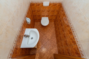 Parduodamas namas Aukščių g., Domeikavos k., Kauno r. sav., 270.07 m2 ploto, 2 aukštai 19