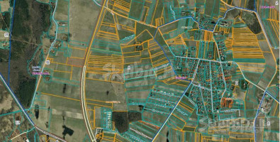 Parduodamas sklypas Girkalių k., Klaipėdos r. sav., 250.00 a ploto 1