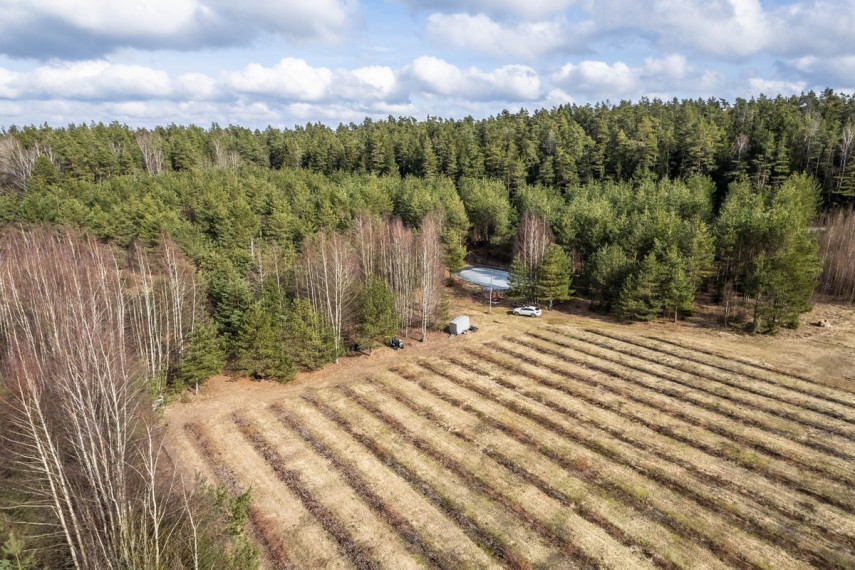 Parduodamas  sklypas Kelmės r. sav., Pavėžupio k., -, 507 a ploto 4