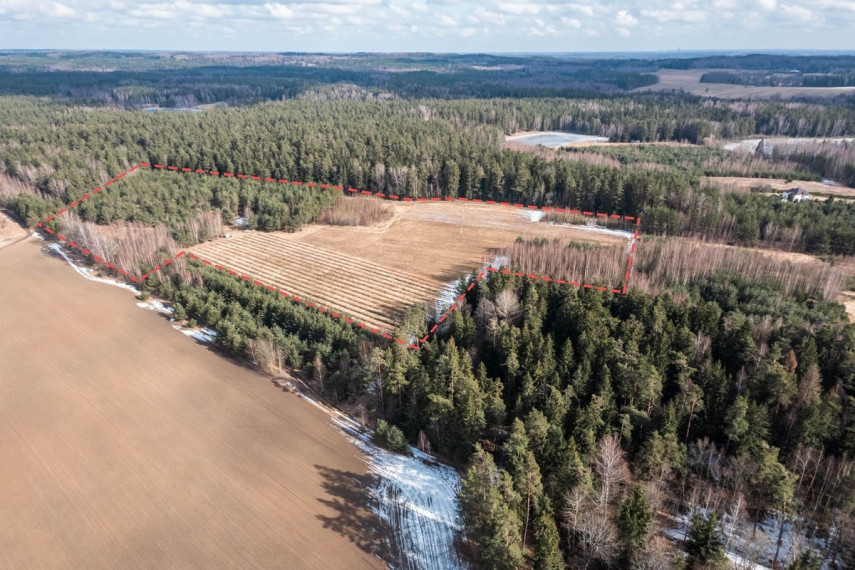 Parduodamas  sklypas Kelmės r. sav., Pavėžupio k., -, 507 a ploto 7