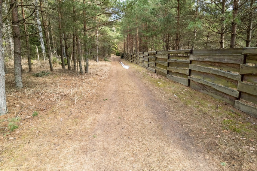 Parduodamas  sklypas Kelmės r. sav., Pavėžupio k., -, 507 a ploto 13
