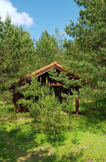 Parduodamas  sklypas Kelmės r. sav., Pavėžupio k., -, 507 a ploto 19