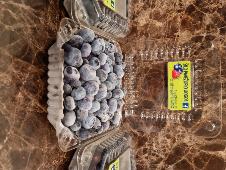 Parduodamas  sklypas Kelmės r. sav., Pavėžupio k., -, 507 a ploto 20