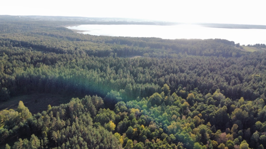 Parduodamas namas Ežero g., Obelninkėlių k., Alytaus r. sav., 128 m2 ploto, 2 aukštai 7