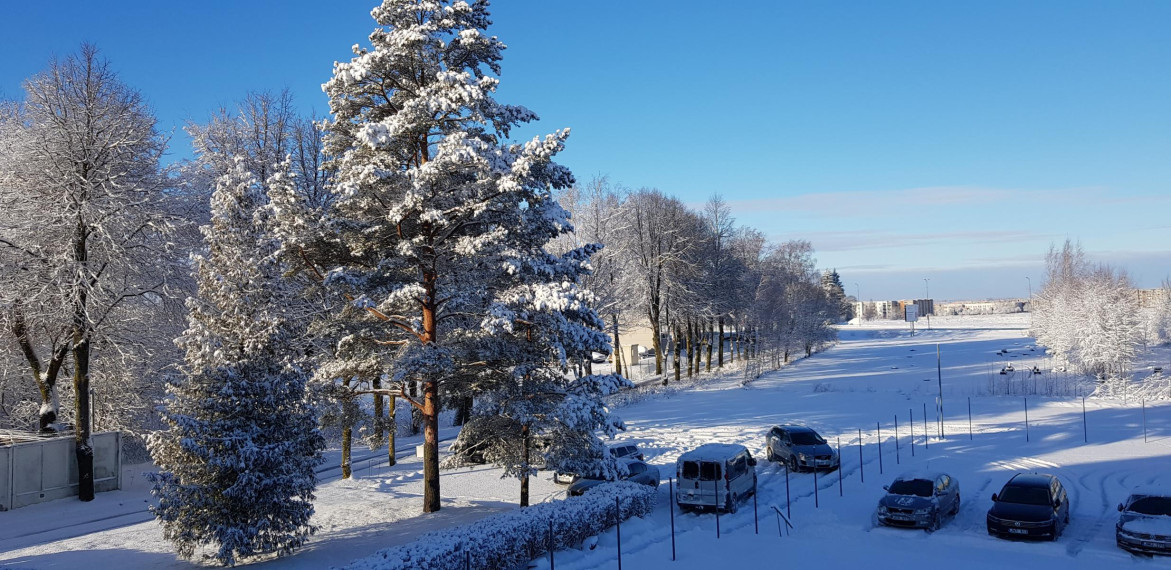 Parduodamos patalpos Karaliaučiaus g., Lieporiai, Šiaulių m., Šiaulių m. sav., 450.00 m² ploto 45