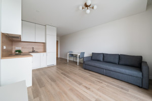 Nuomojamas butas Riterių g., Žirmūnai, Vilniaus m., Vilniaus m. sav., 26.37 m² ploto 1 kambarys 4