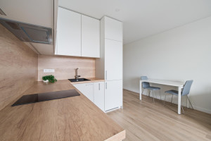 Nuomojamas butas Riterių g., Žirmūnai, Vilniaus m., Vilniaus m. sav., 26.37 m² ploto 1 kambarys 7