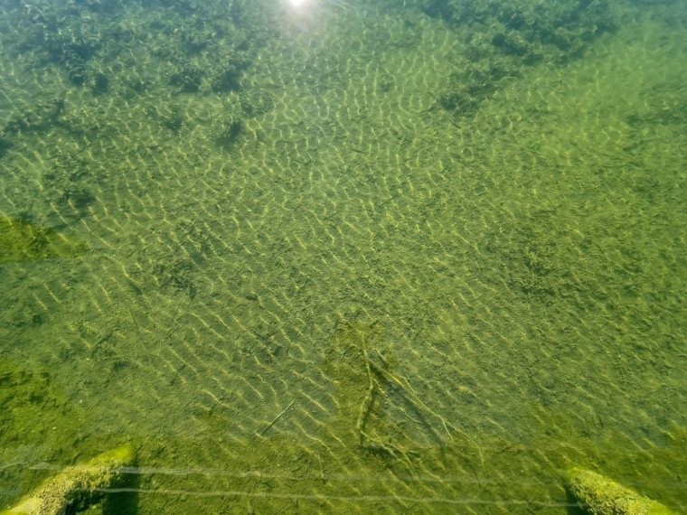 Parduodamas namas Sodų g., Čivonių k., Lazdijų r. sav., 88.69 m2 ploto, 2 aukštai 4