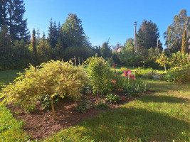Parduodamas namas Avilių k., Zarasų r. sav., 125 m² ploto 4 kambariai 20