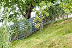 Parduodamas namas Gailašių g., Tarandė, Vilniaus m., Vilniaus m. sav., 140.9 m2 ploto, 2 aukštai 25