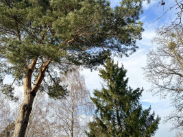 Parduodamas namas Sodų g., Šlienavos k., Kauno r. sav., 79.31 m2 ploto, 2 aukštai 6