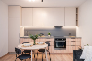 Parduodamas butas Šeimyniškių g., Šnipiškės, Vilniaus m., Vilniaus m. sav., 134 m2 ploto, 6 kambariai 25
