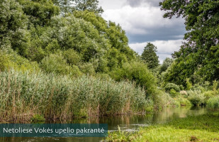 Parduodamas  sklypas Vokės g., Pagirių k., Vilniaus r. sav., 18.12 a ploto 5