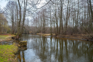 Parduodamas  sklypas Vokės g., Pagirių k., Vilniaus r. sav., 18.12 a ploto 18