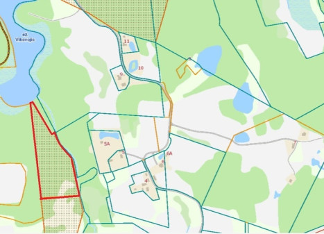 Parduodamas  sklypas Bėčionių k., Ignalinos r. sav., 257 a ploto
