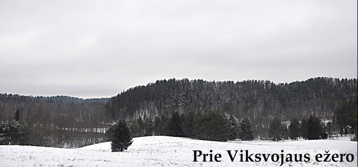 Parduodamas  sklypas Bėčionių k., Ignalinos r. sav., 257 a ploto 5