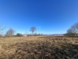 Parduodamas  sklypas Sakūtėlių k., Šilutės r. sav., 221 a ploto 3