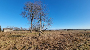 Parduodamas  sklypas Sakūtėlių k., Šilutės r. sav., 221 a ploto 4
