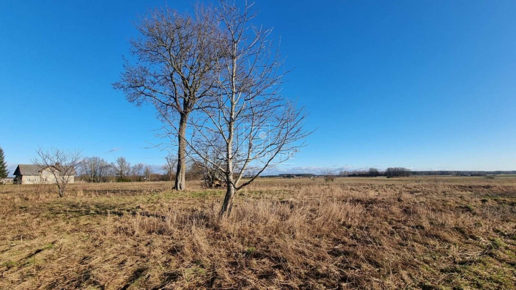 Parduodamas sklypas Sakūtėlių k., Šilutės r. sav., 221 a ploto 4