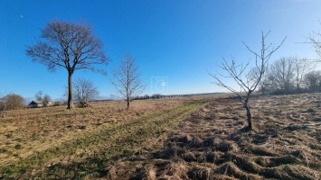 Parduodamas  sklypas Sakūtėlių k., Šilutės r. sav., 221 a ploto 7