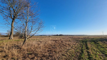 Parduodamas  sklypas Sakūtėlių k., Šilutės r. sav., 221 a ploto 8