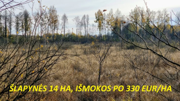 Parduodamas kitos paskirties sklypas Prūčių k., Ignalinos r. sav., 2370 a ploto 9
