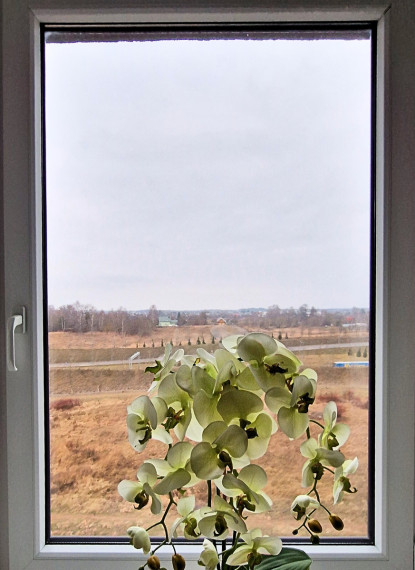 Nuomojamas butas Eitminų g., Pašilaičiai, Vilniaus m., Vilniaus m. sav., 52 m2 ploto, 2 kambariai 5