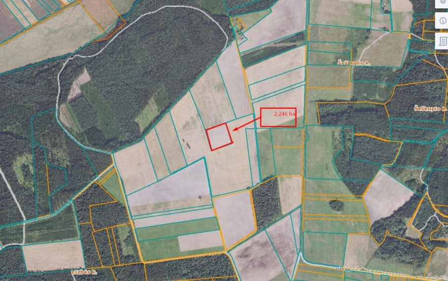 Parduodamas sklypas Eizbės k., Kelmės r. sav., 224.00 a ploto 1
