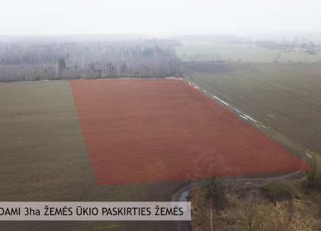 Parduodamas sklypas Gražuolių k., 300 a ploto