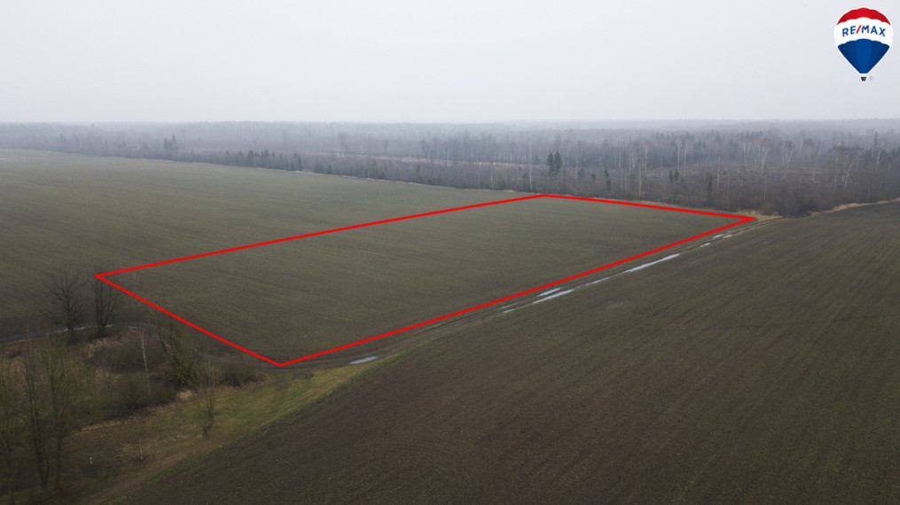 Parduodamas sklypas Gražuolių k., 300 a ploto 3