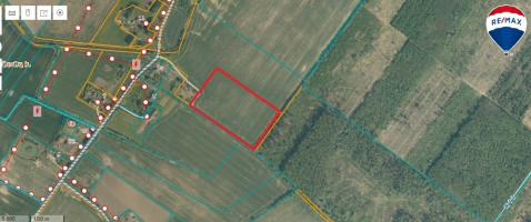 Parduodamas sklypas Gražuolių k., 300 a ploto 7