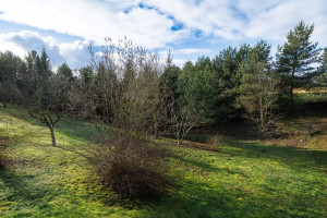 Parduodamas namas Parko g., Ariogalos m., Raseinių r. sav., 238.15 m2 ploto, 2 aukštai 27