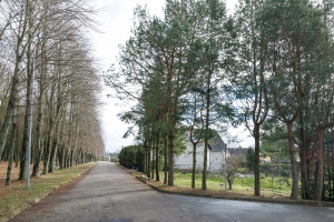 Parduodamas namas Parko g., Ariogalos m., Raseinių r. sav., 238.15 m2 ploto, 2 aukštai 29