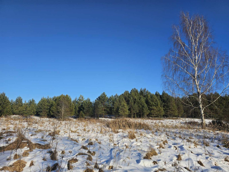 Parduodamas sklypas Ažuprūdžio k., Utenos r. sav., 97.00 a ploto 2