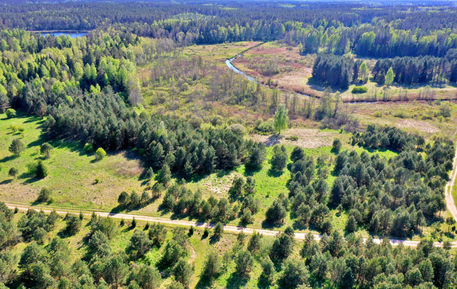 Parduodamas sklypas Ažuprūdžio k., Utenos r. sav., 97.00 a ploto 1