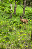 Parduodamas butas Burbiškių g., Burbiškės, Vilniaus m., Vilniaus m. sav., 38.03 m2 ploto, 2 kambariai 19