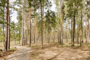 Parduodamas namas Trakų r. sav., Pilialaukio k., Grafų g., 116 m2 ploto, 1 aukštai 30