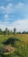 Parduodamas  sklypas Dreižių k., Klaipėdos r. sav., 19 a ploto 4