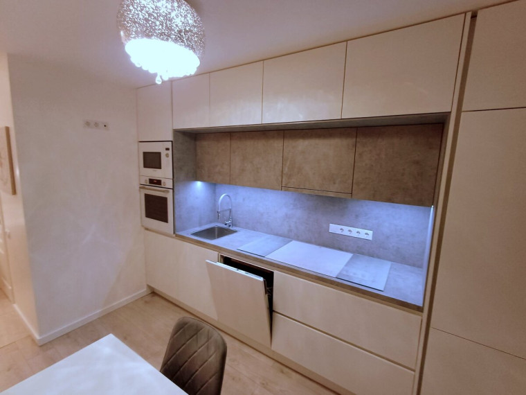 Nuomojamas butas Buivydiškių g., Šeškinė, Vilniaus m., Vilniaus m. sav., 40 m2 ploto, 1 kambariai 1