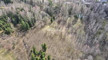 Parduodamas namų valdos paskirties sklypas Bendorių k., Vilniaus r. sav., 130 a ploto 4