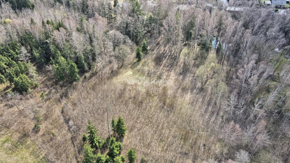 Parduodamas namų valdos paskirties sklypas Bendorių k., Vilniaus r. sav., 130 a ploto 4