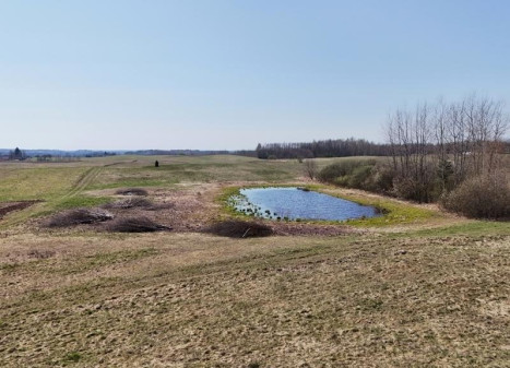 Parduodamas sklypas Miškiškių II k., Molėtų r. sav., 34.00 a ploto