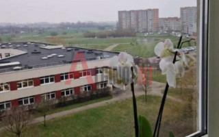 Parduodamas butas Budelkiemio g., Bandužiai, Klaipėdos m., Klaipėdos m. sav., 78 m² ploto 3 kambariai 2