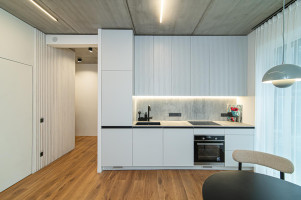 Nuomojamas butas Vytenio g., Naujamiestis, Vilniaus m., Vilniaus m. sav., 40.00 m² ploto 2 kambariai 3