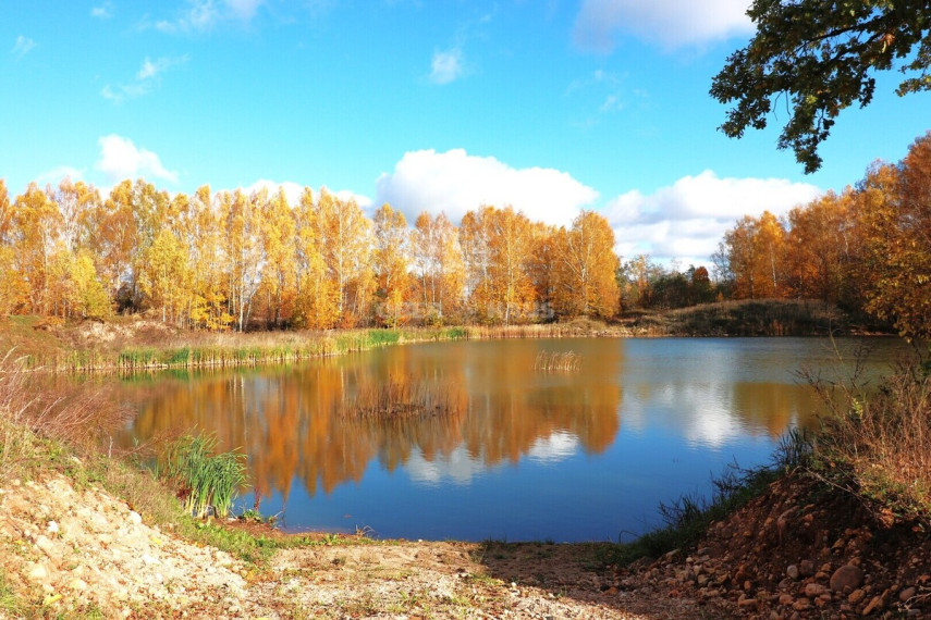 Parduodamas namas Šaukliškių k., Kupiškio r. sav., 100 m2 ploto, 1 aukštai 5