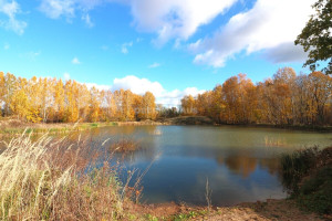 Parduodamas namas Šaukliškių k., Kupiškio r. sav., 100 m2 ploto, 1 aukštai 7