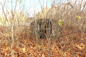 Parduodamas namas Šaukliškių k., Kupiškio r. sav., 100 m2 ploto, 1 aukštai 9