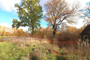 Parduodamas namas Šaukliškių k., Kupiškio r. sav., 100 m2 ploto, 1 aukštai 11